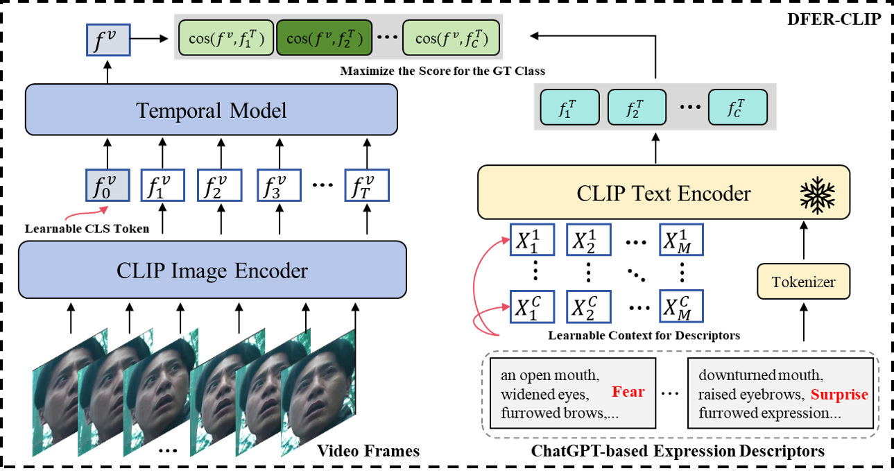 Visual-Language DFER Image.